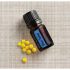 Blue Tansy Oil  Tanacetum annuum